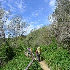 GirlsWildCat 016 : GirlsWildCat